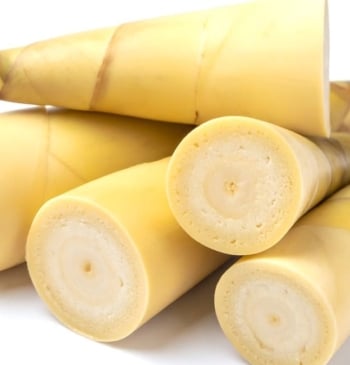 Los beneficios de comer bambú para el organismo