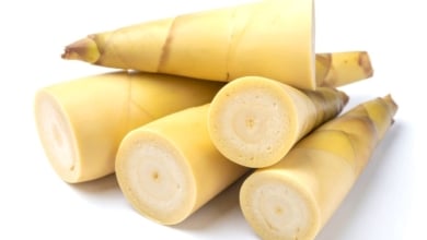 Los beneficios de comer bambú para el organismo