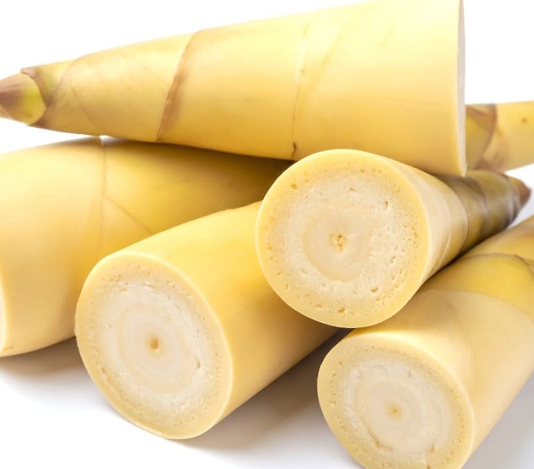 Los beneficios de comer bambú para el organismo