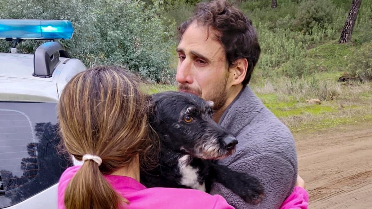 Boro' el perro de una de las heridas en el accidente de trenes de Adamuz (Córdoba) del pasado domingo, ha sido finalmente encontrado INFOCA