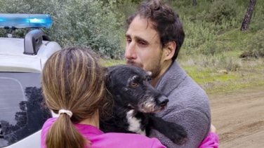 Final feliz para Boro, el perro desaparecido tras el accidente de Adamuz