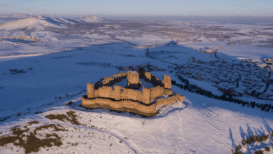 Castillos, aceite y calidad: la Diputación de Toledo presenta en FITUR su hoja de ruta turística para 2026