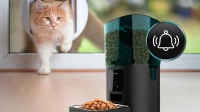 El comedero automático para mascotas que necesitas si pasas mucho tiempo fuera de casa