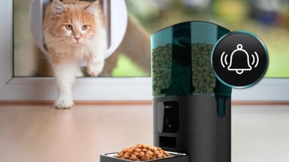 El comedero automático para mascotas que necesitas si pasas mucho tiempo fuera de casa