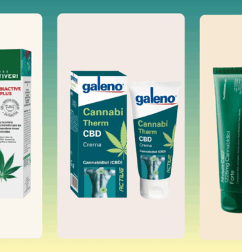 Las 10 mejores cremas CBD de 2026: Dile adiós al dolor articular [...]