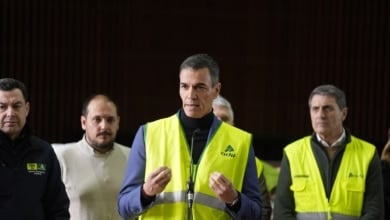 Sánchez solicita comparecer en el Congreso para informar sobre la crisis ferroviaria