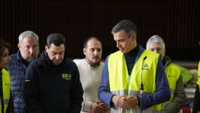 El Gobierno evita la guerra política y destaca la "colaboración total" con la Junta: "Todo bien"