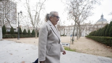 El chófer de Carmen Pano confirma que llevó a la empresaria a entregar 45.000 euros a Ferraz