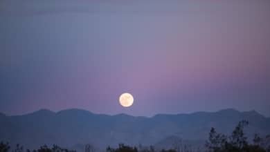 Luna llena de enero 2026: cuándo y cómo ver la primera superluna del año
