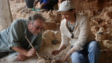 Casablanca frente a Atapuerca: África gana peso en el origen del linaje humano