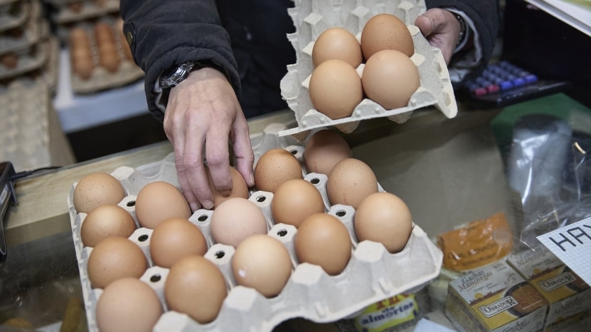 La gripe aviar ha propiciado la escalada de precios de los huevos.