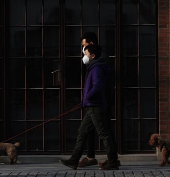 Qué es el virus Nipah, la enfermedad por la que la OMS [...]