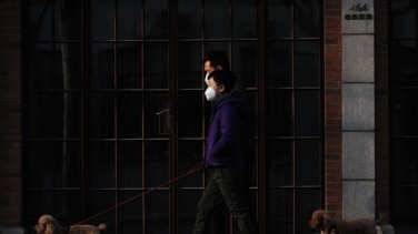 Qué es el virus Nipah, la enfermedad por la que la OMS ha declarado la alerta en India