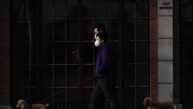 Qué es el virus Nipah, la enfermedad por la que la OMS ha declarado la alerta en India