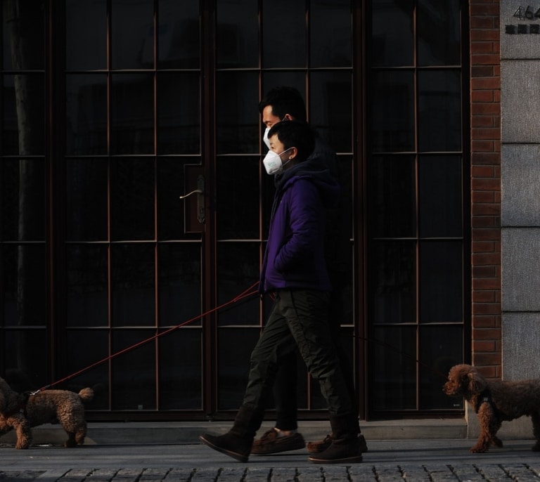 Qué es el virus Nipah, la enfermedad por la que la OMS ha declarado la alerta en India