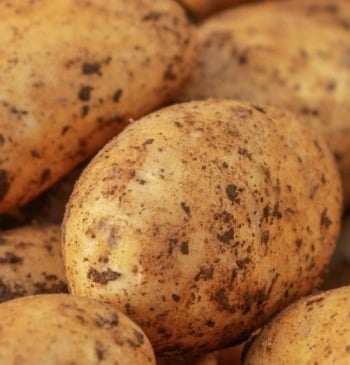 Cómo consumir la patata y el boniato para obtener el máximo beneficio