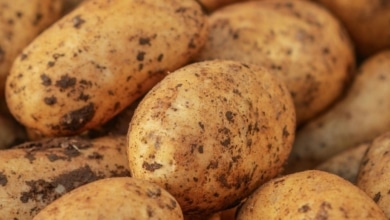 Cómo consumir la patata y el boniato para obtener el máximo beneficio