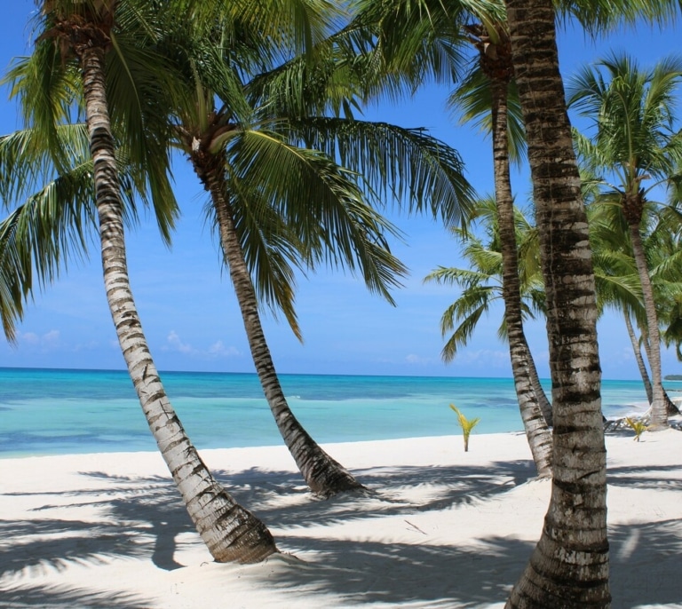 Por qué cada vez más viajeros apuestan por excursiones organizadas en Punta Cana