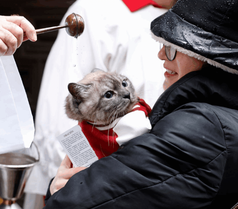 'Peludos' mojados en un San Antón pasado por agua