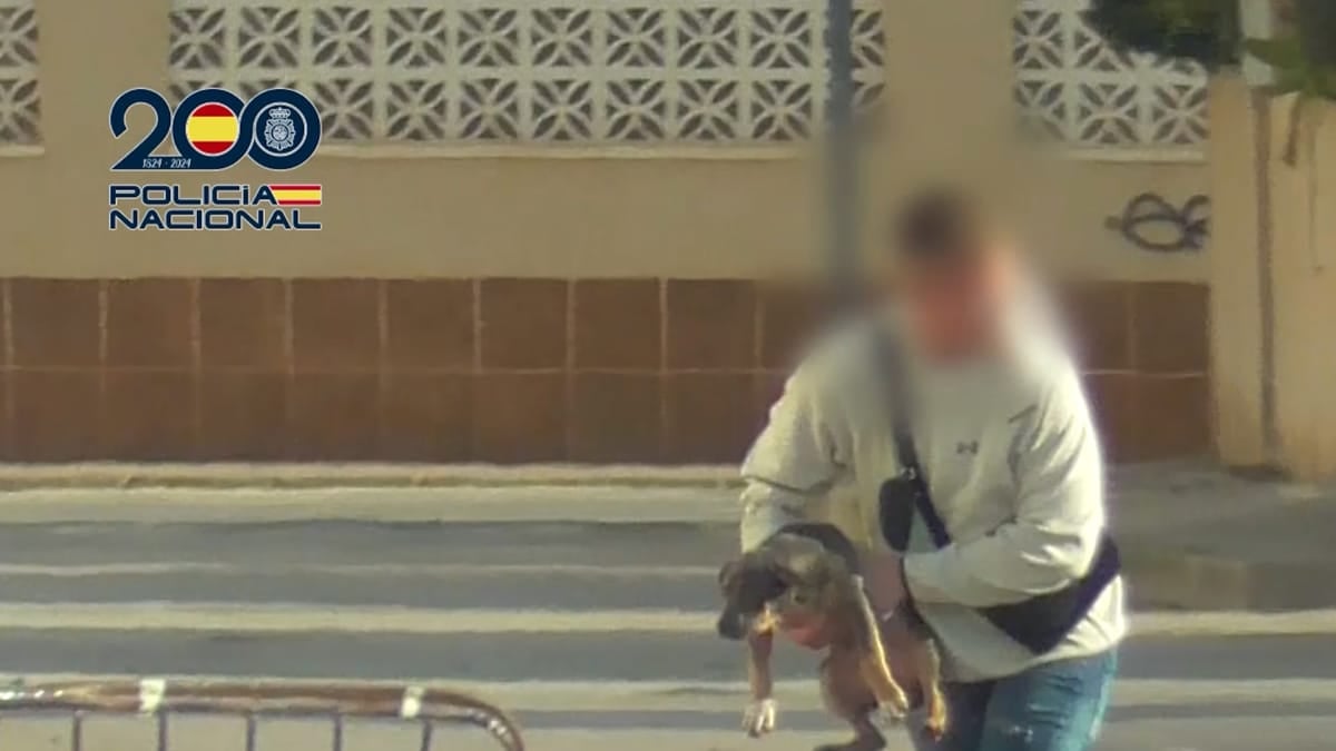 Lo que el secuestro de un perro por una banda sueca nos dice del crimen organizado en España