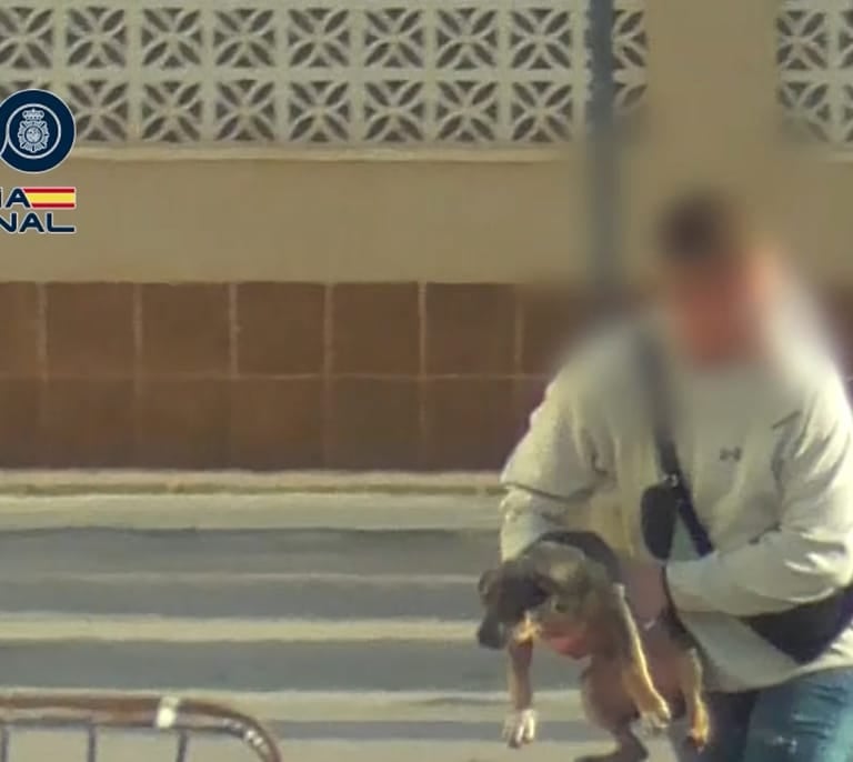 Lo que el secuestro de un perro por una banda sueca nos dice del crimen organizado en España