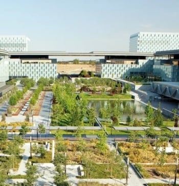 Telefónica progresa en su estrategia de digitalización responsable en 2025