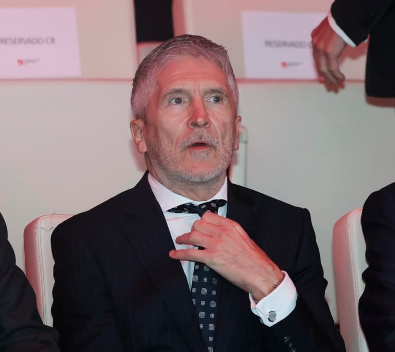 Del DAO a la UDEF: el fracaso de Marlaska en la "limpieza" de la Policía