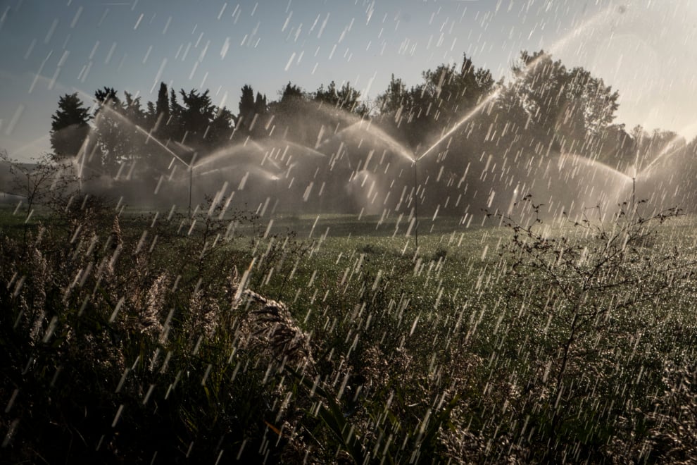 Un campo de regadío