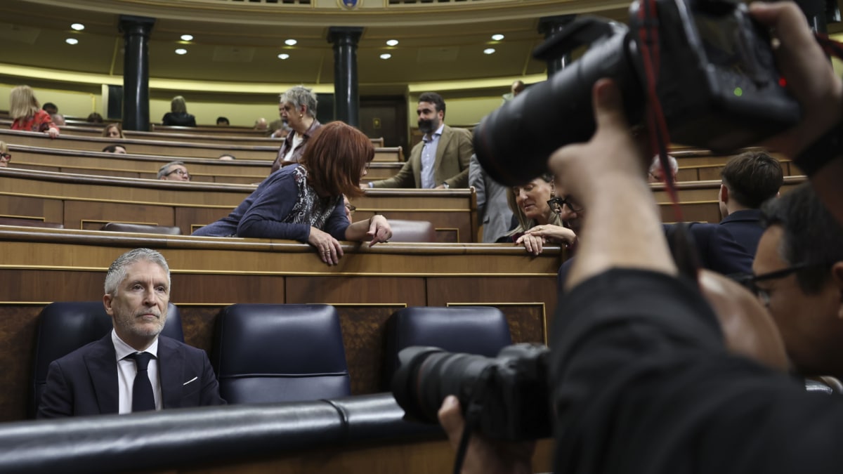 MADRID, 18/02/2026.- El ministro del Interior, Fernando Grande Marlaska, a su llegada a la sesión de Control celebrada este miércoles en el Congreso. Los últimos casos que afectan al Gobierno, el último la dimisión del número dos de la Policía tras una querella por agresión sexual, marcarán la sesión de control que celebra el Congreso, a la que faltará el presidente del Gobierno, Pedro Sánchez, de viaje oficial a la India. EFE/Kiko Huesca