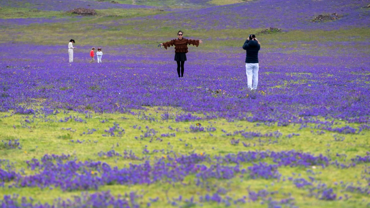 El espectacular cambio del paisaje lunar de Lanzarote