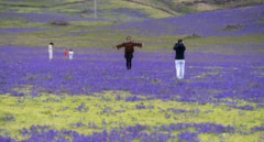 El espectacular cambio del paisaje lunar de Lanzarote