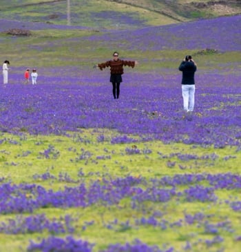 El espectacular cambio del paisaje lunar de Lanzarote