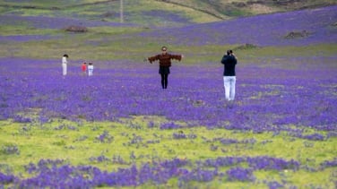 El espectacular cambio del paisaje lunar de Lanzarote
