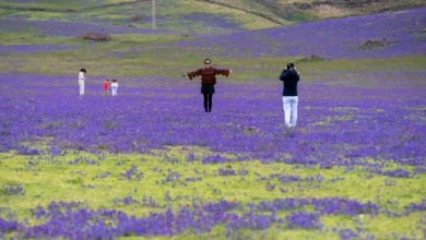 El espectacular cambio del paisaje lunar de Lanzarote