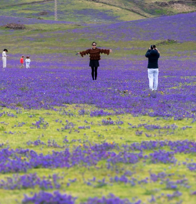 El espectacular cambio del paisaje lunar de Lanzarote tras las lluvias