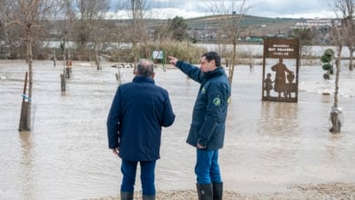 Moreno pedirá al Gobierno activar el Fondo de Contingencia ante las "pérdidas millonarias" por las borrascas