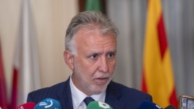 Ángel Víctor Torres insinúa que Felipe González debería irse del PSOE