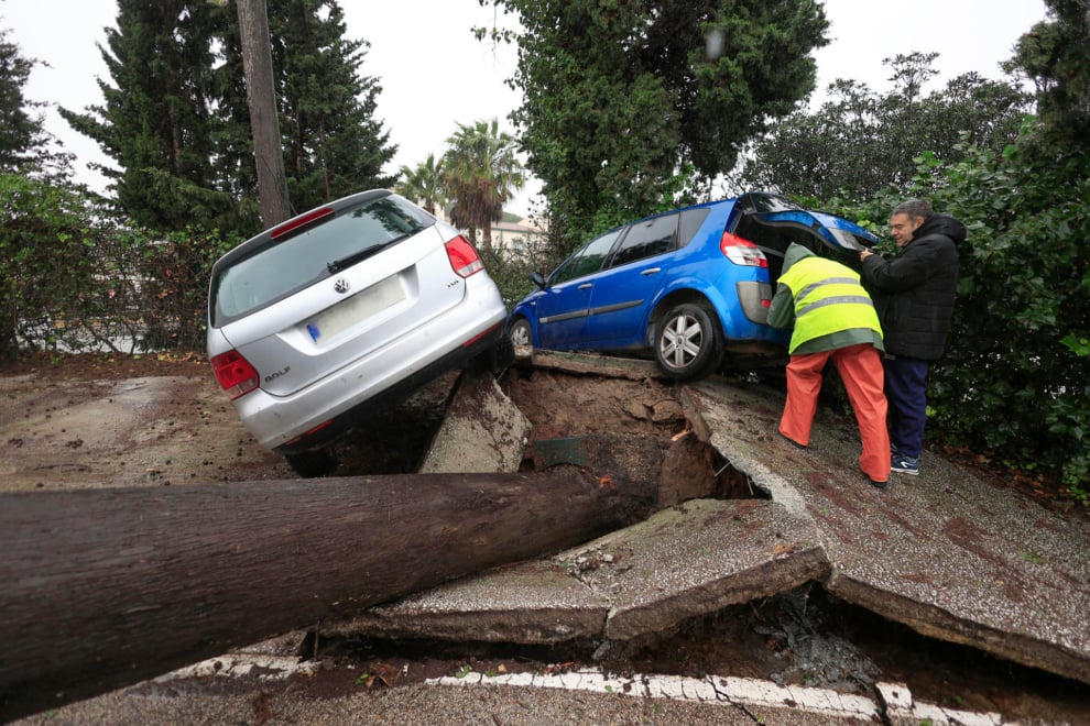 Dos personas junto a unos vehículos atrapados al levantarse el pavimento tras caerse un árbol este miércoles en Los Barrios (Cádiz),