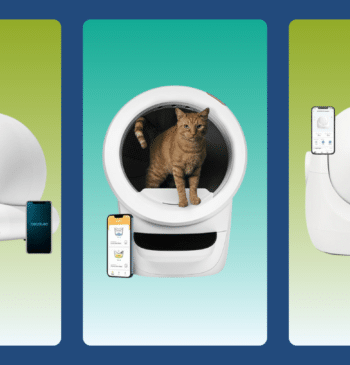 Los 7 Mejores areneros automáticos para gatos (Guía 2026)