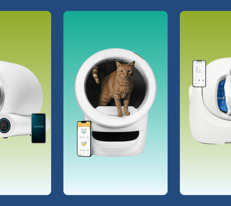 Los 7 Mejores areneros automáticos para gatos (Guía 2026)