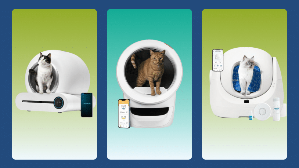 Los 7 Mejores areneros automáticos para gatos (Guía 2026)