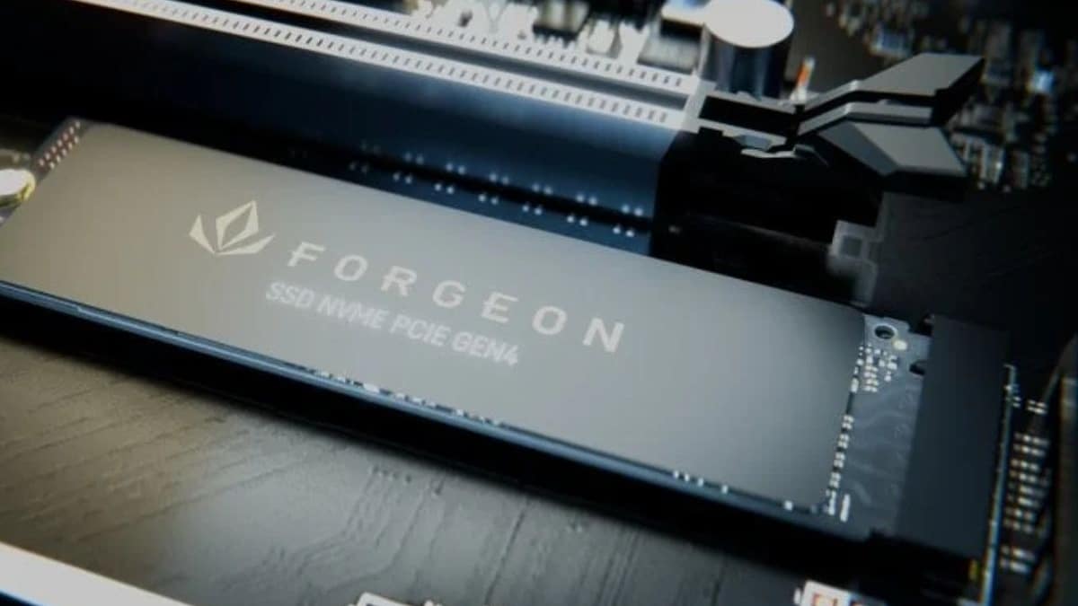 disco duro Forgeon Nimbus PLUS