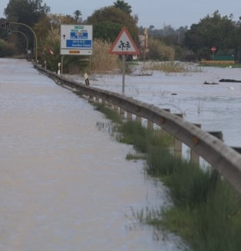 Tráfico pide evitar desplazamientos en Andalucía y Extremadura ante el riesgo de [...]