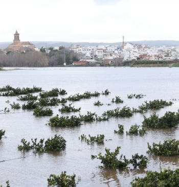 La borrasca Leonardo deja unos 11.000 desalojados en Andalucía antes de la [...]