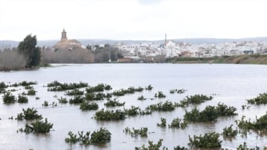 La borrasca Leonardo deja unos 11.000 desalojados en Andalucía antes de la llegada de un nuevo temporal