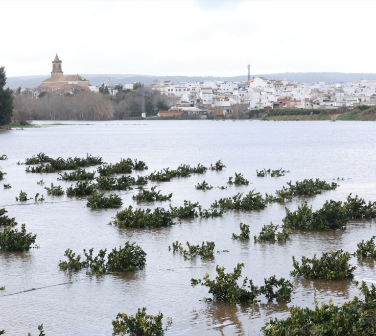 La borrasca Leonardo deja unos 11.000 desalojados en Andalucía antes de la llegada de un nuevo temporal