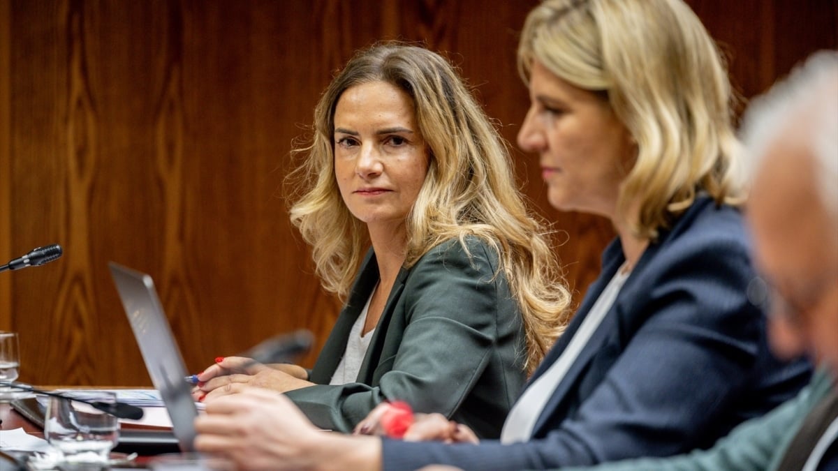 Susana Sumelzo, en la 'comisión Koldo' en el Senado.