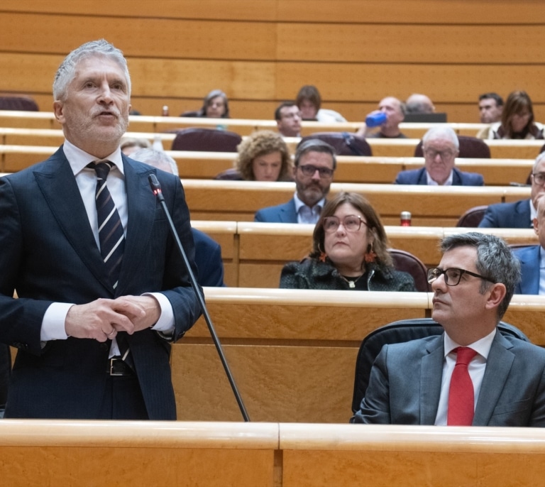 Marlaska aparta de sus funciones al comisario San Juan, número dos del DAO