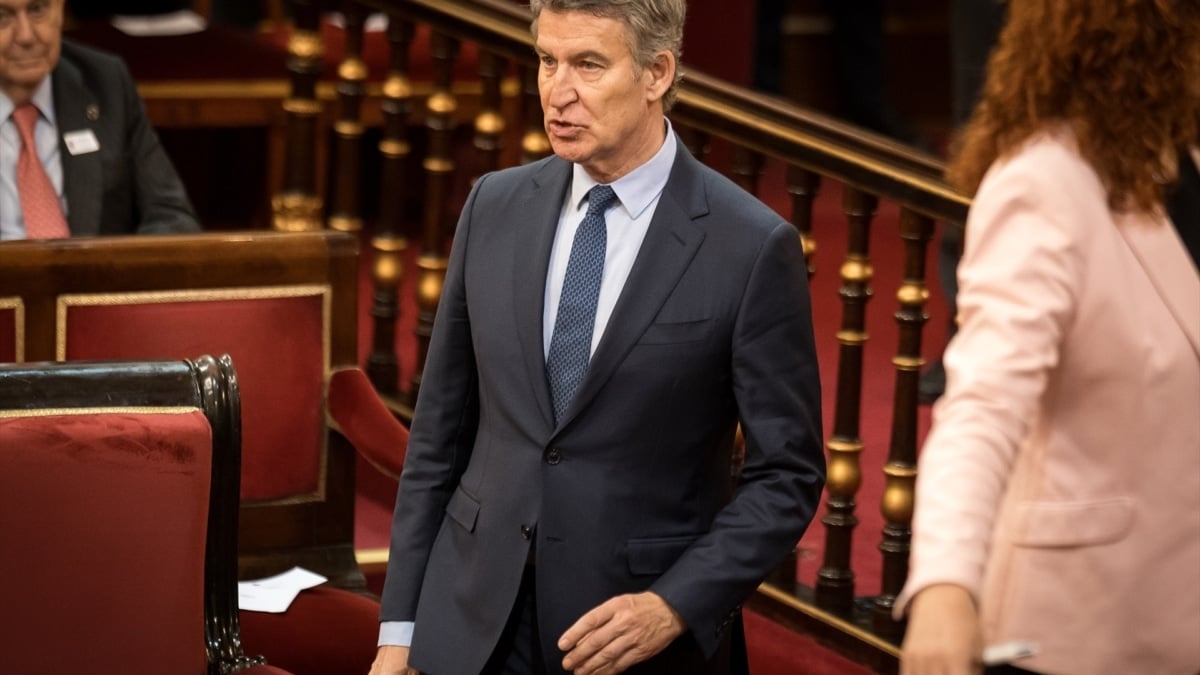 El presidente del Partido Popular, Alberto Núñez Feijóo