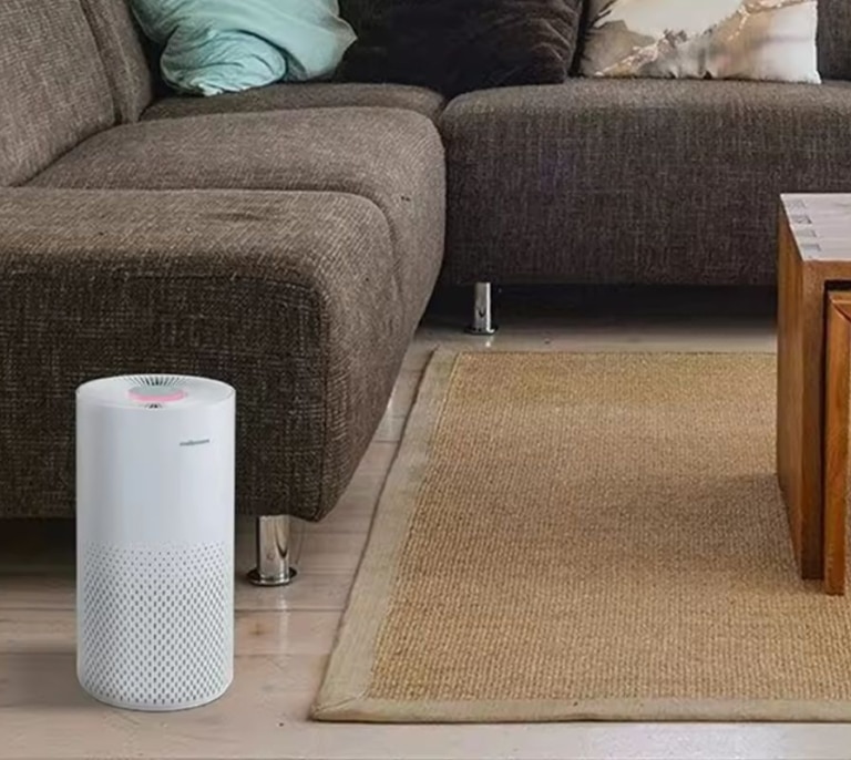 Llegan las alergias: este es el dispositivo que los expertos recomiendan tener en casa para mejorar los síntomas
